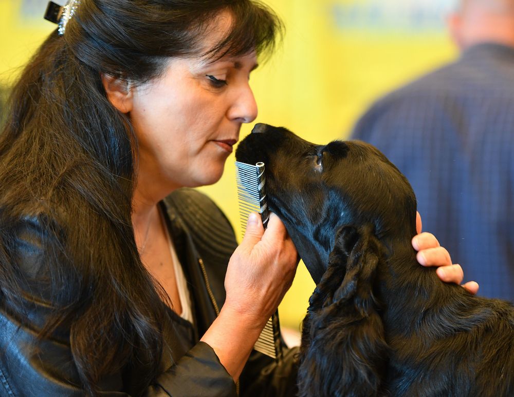 Stop the World -- I Want to Get Off!